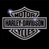 Silver Harley Davidson Logo Paint By Numbers