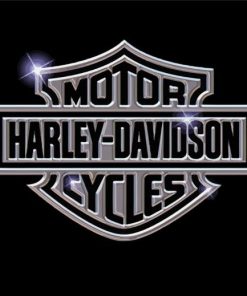Silver Harley Davidson Logo Paint By Numbers