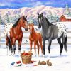 Snowy Ranch And Horses Paint By Numbers
