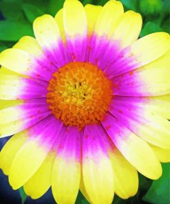 Tricolor Colorful Daisy Paint By Numbers