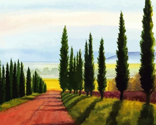 Tuscany Cypress Trees Art Paint By Numbers