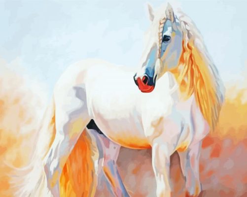 White Alone Horse Paint By Numbers