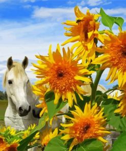 White Horse With Sunflowers Paint By Numbers