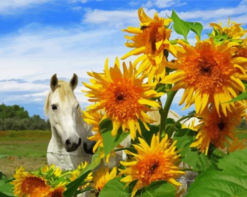 White Horse With Sunflowers Paint By Numbers