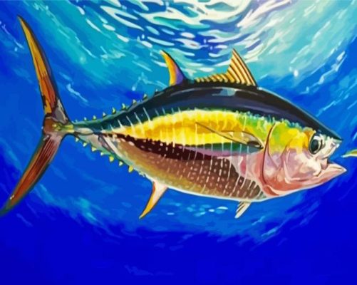 Yellowfin Tuna Paint By Numbers