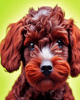 Aesthetic Brown Cockapoo Paint By Numbers