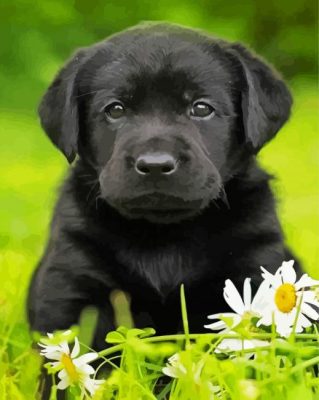 Aesthetic Labrador Retriever Paint By Numbers