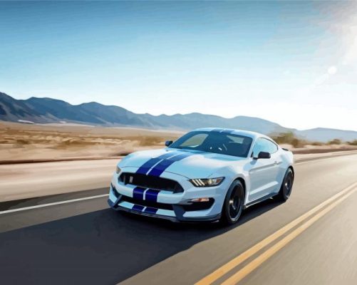 Aesthetic Shelby GT350SE Paint By Numbers