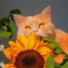 Aesthetic Cat Sunflower Paint By Numbers