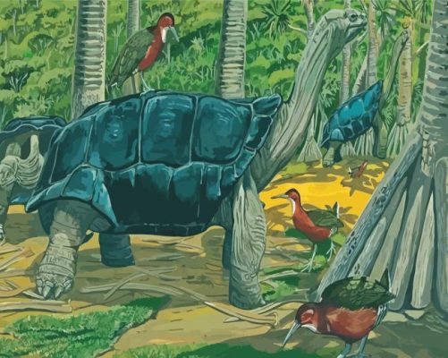 Aldabra Tortoise And Birds Paint By Numbers