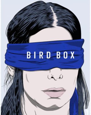 Bird Box Paint By Numbers