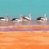 Birds On Beach Paint By Numbers