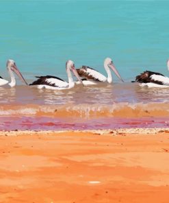 Birds On Beach Paint By Numbers