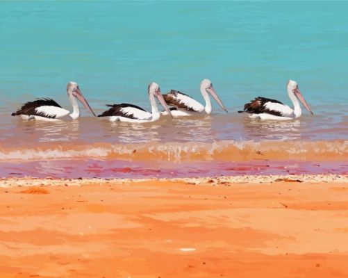 Birds On Beach Paint By Numbers