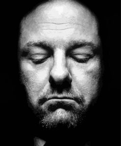 Black And White James Gandolfini Paint By Numbers