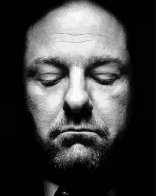 Black And White James Gandolfini Paint By Numbers