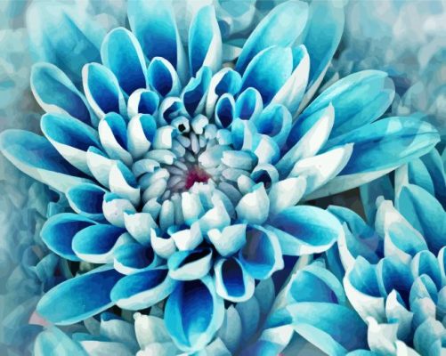 Blue Dahlia Flowers Paint By Numbers