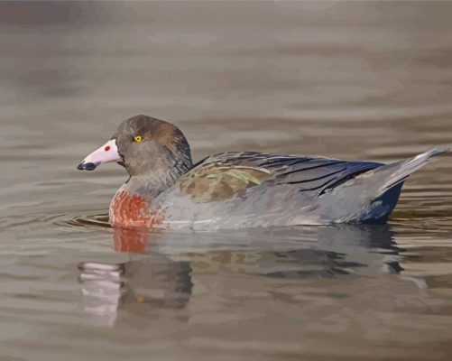 Blue Duck Bird Paint By Numbers