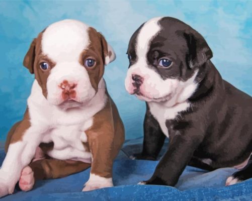 Blue Nose And Red Nose Pitbull Paint By Numbers