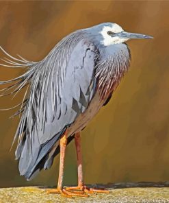 Blue Crane Bird Animal Paint By Numbers