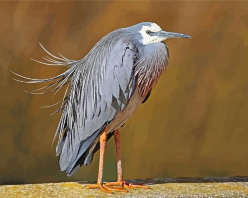 Blue Crane Bird Animal Paint By Numbers