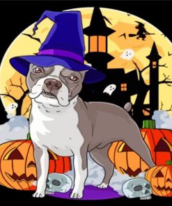Boston Terrier Witch Paint By Numbers
