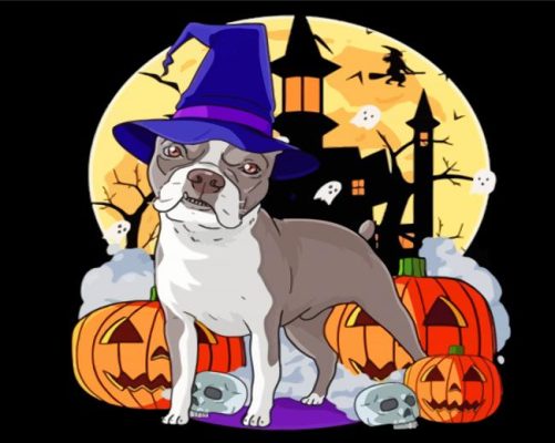 Boston Terrier Witch Paint By Numbers