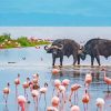 Buffalo And Flamingos In Nakuru Lake Paint By Numbers