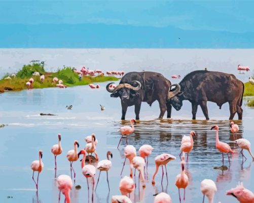 Buffalo And Flamingos In Nakuru Lake Paint By Numbers