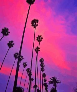 California Pink Sunset With Palm Tree Paint By Numbers