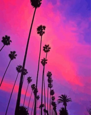 California Pink Sunset With Palm Tree Paint By Numbers