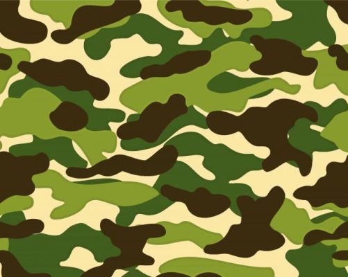 Camo Art Paint By Numbers