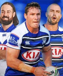 Canterbury Bulldogs Players Paint By Numbers
