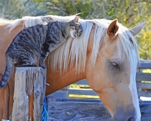 Cat And Horse Animals Paint By Numbers