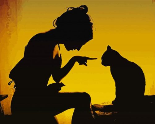 Cat And Girl Silhouette Paint By Numbers