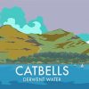 Catbells Derwent Water Poster Paint By Numbers