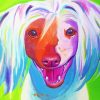 Chinese Crested Dog Art Paint By Numbers