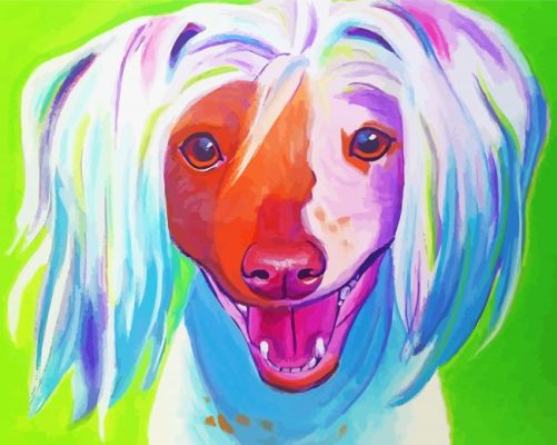 Chinese Crested Dog Art Paint By Numbers