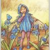 Cicely Mary Barker The Scilla Fairy Paint By Numbers
