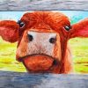 Baby Brown Cow Paint By Numbers