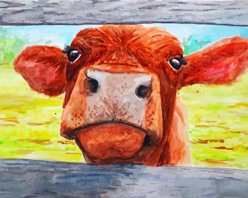 Baby Brown Cow Paint By Numbers