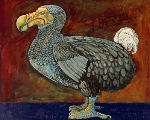 Dodo Bird Art Paint By Numbers