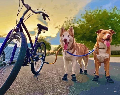 Biking With Dogs Paint By Numbers