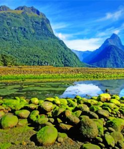 Fiordland New Zealand Paint By Numbers