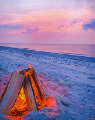 Fire At Sandy Neck Beach Paint By Numbers