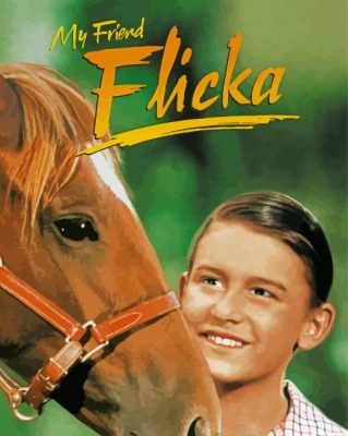 Flicka Movie Paint By Numbers