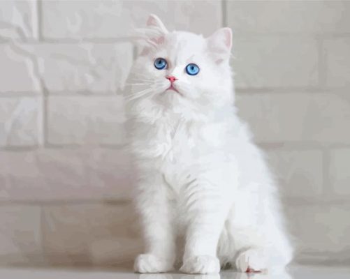 Fluffy White Cat With Blue Eyes Paint By Numbers