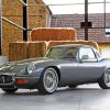 Grey Jaguar E Type Paint By Numbers