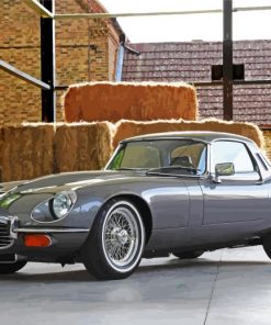 Grey Jaguar E Type Paint By Numbers