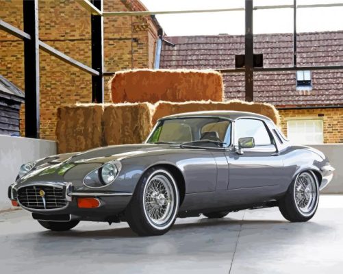 Grey Jaguar E Type Paint By Numbers